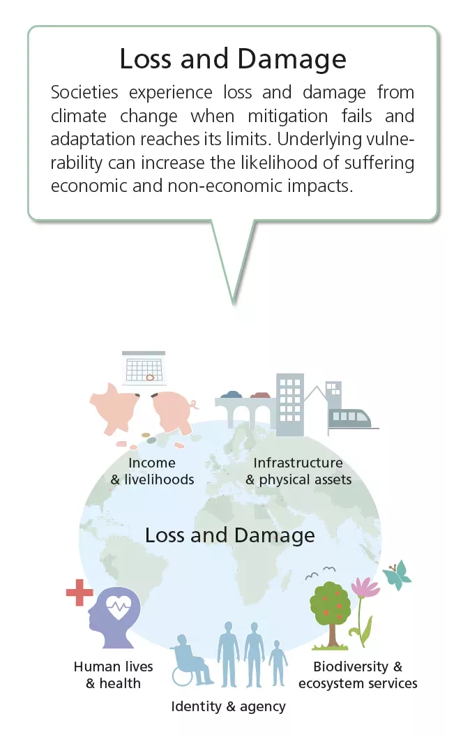 Grafisk bild som beskriver klimatrelaterade förluster och skador på jorden och för människan.
